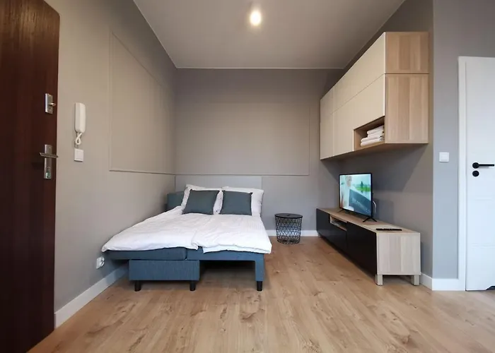 Apartment Stara Drukarnia - Typu